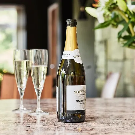 Lux Near Pannett Park/cinder Trail Vakantiehuis